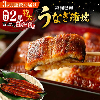 【全3回定期便】福岡県産 うなぎ 蒲焼 特大 2尾 合計 440 g（1尾あたり 220g以上）《豊前市》【福岡養鰻】 国産 うなぎ 特大[VAD008]