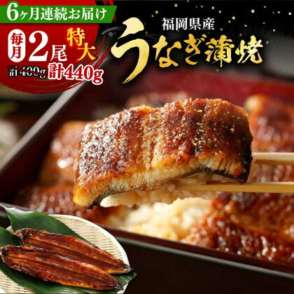 【全6回定期便】福岡県産 うなぎ 蒲焼 特大 2尾 合計 440 g（1尾あたり 220g以上）《豊前市》【福岡養鰻】 国産 うなぎ 特大[VAD009]