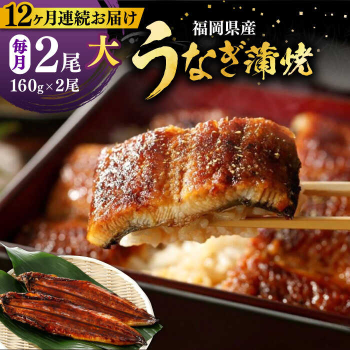 【ふるさと納税】【全12回定期便】福岡県産 うなぎ 蒲焼 大2尾　合計 320 g（1尾あたり 160g以上）《豊前市》【福岡養鰻】 国産 うなぎ 大[VAD013]