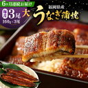 【ふるさと納税】【全6回定期便】福岡県産 うなぎ 蒲焼 大3尾 合計 480 g(1尾あたり 160g以上)《豊前市》【福岡養鰻】 国産 うなぎ 大[VAD01...