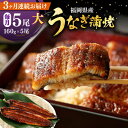 【ふるさと納税】【全3回定期便】福岡県産 うなぎ 蒲焼 大5尾 合計 800 g(1尾あたり 160g以上)《豊前市》【福岡養鰻】 国産 うなぎ 大[VAD01...