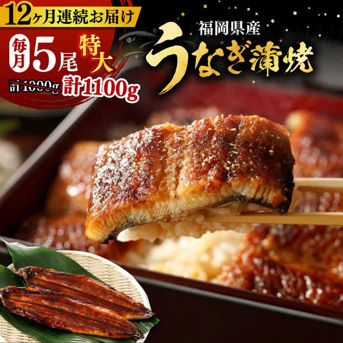 【ふるさと納税】【全12回定期便】福岡県産 うなぎ 蒲焼 特大 5尾 合計 1,100 g（1尾あたり 220g以上）《豊前市》【福岡養鰻】 国産 うなぎ 特大[VAD025]