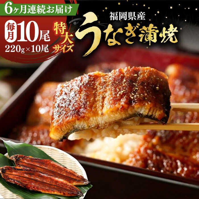 【ふるさと納税】【全6回定期便】福岡県産 うなぎ 蒲焼 特大 10尾 計2,200g（1尾あたり 220g以上）《豊前市》【福岡養鰻】 国産 鰻 ウナギ 蒲焼き[VAD032]