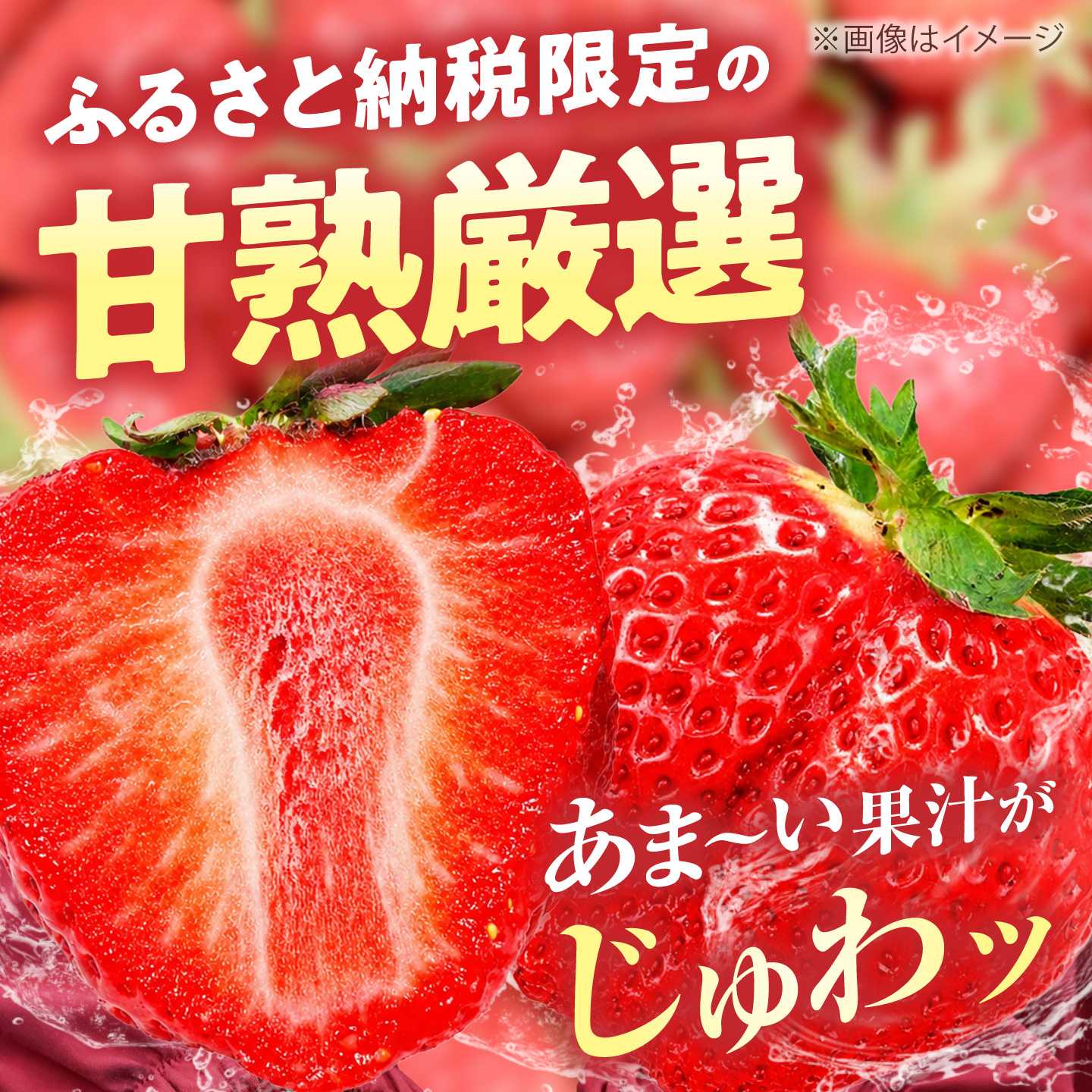【ふるさと納税】★4.57【先行予約】あまおう 540g (270g×2パック) ココロファームの濃厚あまおう【2027年1月下旬〜3月下旬発送】《豊前市》【ココロファーム】[VAE007] 苺 いちご イチゴ あまおう ストロベリー 果物 フルーツ 人気 旬 福岡県産 ギフト 贈答 産地直送 f402141-buzen-10000181 福岡県豊前市 サンプル画像3