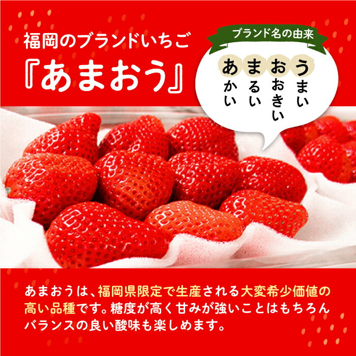 【ふるさと納税】先行予約【2024年12月中旬～翌4月上旬発送】ココロファームの濃厚あまおう 285g × 2パック / 4パック (選べる個数)《豊前市》[VAE009] 苺 いちご あまおう 福岡県産 【※北海度・沖縄および離島への配送不可】