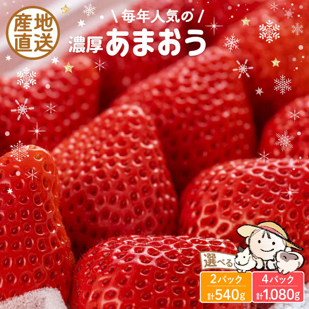 67位! 口コミ数「62件」評価「4.55」【先行予約】あまおう 540g 1080g 2パック 4パック ココロファームの濃厚あまおう【2026年12月中旬～翌4月上旬発送】《豊前市》【ココロファーム】[VAE009] 苺 いちご あまおう ･･･ 