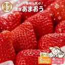 25位! 口コミ数「52件」評価「4.48」先行予約【2024年12月中旬～翌4月上旬発送】ココロファームの濃厚あまおう 285g × 2パック / 4パック (選べる個数)《豊前市》･･･ 