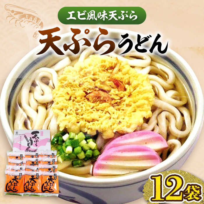 6位! 口コミ数「1件」評価「5」天ぷら うどん 12食 《豊前市》【富士菊】うどん 天ぷらうどん 天ぷら 麺 麺類 福岡 豊前 [VAI010]