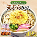 【ふるさと納税】天ぷらうどん（12食入り）《豊前市》【富士菊】うどん 天ぷらうどん 天ぷら 麺 麺類 福岡 豊前 [VAI010]