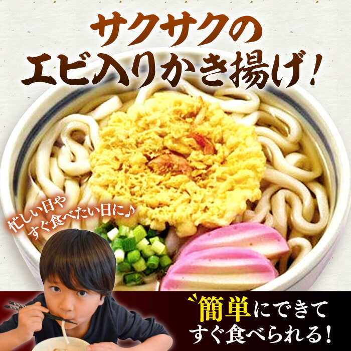 【ふるさと納税】【全3回定期便】天ぷらうどん(12食入り)《豊前市》【富士菊】うどん 天ぷらうどん 天ぷら 麺 麺類 福岡 豊前[VAI055]