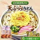 【ふるさと納税】【全6回定期便】天ぷらうどん(12食入り)《豊前市》【富士菊】うどん 天ぷらうどん 天ぷら 麺 麺類 福岡 豊前[VAI056]