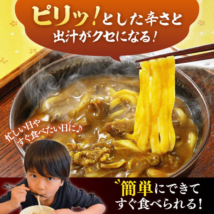 【ふるさと納税】【全3回定期便】カレーうどん(8食入)《豊前市》【富士菊】うどん カレーうどん[VAI064]