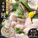 【ふるさと納税】獲れたて直送！ハモ 一本 約1.2kg (4~5人前)《豊前市》【まるとら】魚 鱧 はも 刺身[VAL001]