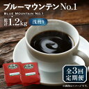 【ふるさと納税】【全3回定期便】ブルーマウンテン NO.1 コーヒー ( 浅煎り ) 《豊前市》【稲垣珈琲】 珈琲 コーヒー 豆 粉[VAS149]