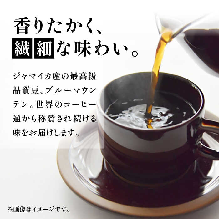 【ふるさと納税】【全6回定期便】ブルーマウンテン NO.1 コーヒー ( 浅煎り ) 《豊前市》【稲垣珈琲】 珈琲 コーヒー 豆 粉[VAS150]