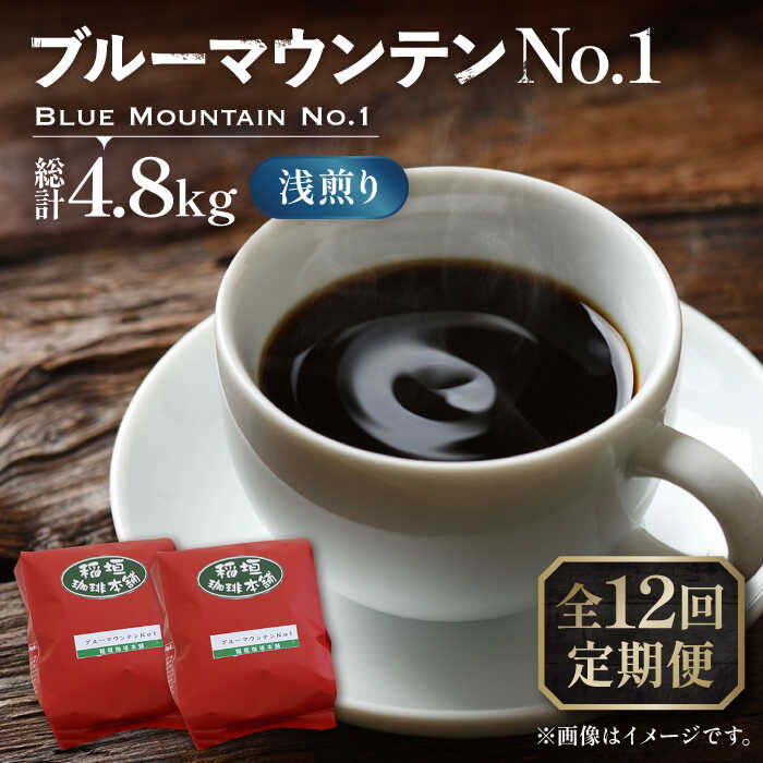 【ふるさと納税】【全12回定期便】ブルーマウンテン NO.1 コーヒー ( 浅煎り ) 《豊前市》【稲垣珈琲】 珈琲 コーヒー 豆 粉[VAS151]