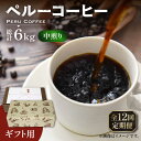 【ふるさと納税】【全12回定期便】【ギフト用】 ペルー コーヒー 中煎り 250g×2《豊前市》【稲垣珈琲】珈琲 コーヒー 豆 粉 有機 贈り物[VAS214]