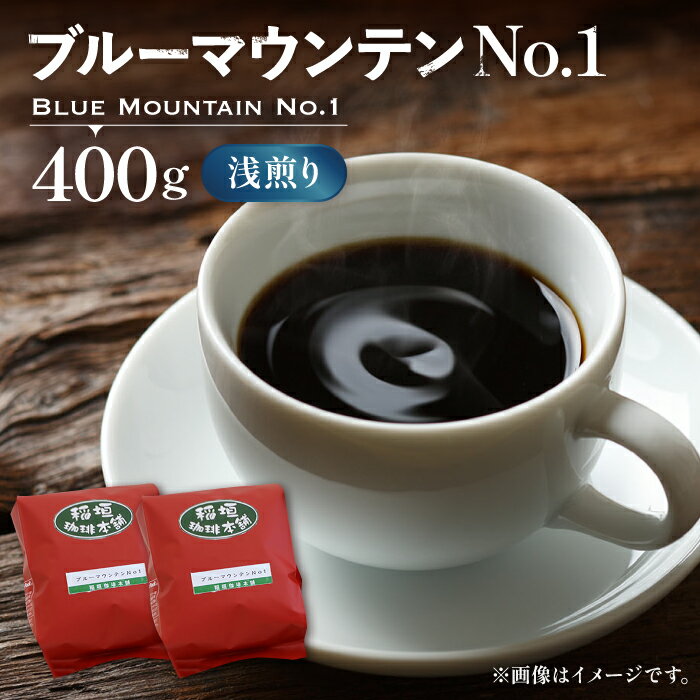 【ふるさと納税】ブルーマウンテン NO.1 コーヒー （ 浅煎り ） 《豊前市》【稲垣珈琲】 珈琲 コーヒー 豆 粉 [VAS001]