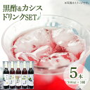 お酢飲料人気ランク17位　口コミ数「1件」評価「5」「【ふるさと納税】黒酢 ドリンク & カシス はちみつドリンク 3種 5本 セット《豊前市》【ハウスボトラーズ】飲料 黒酢 [VAX006]」