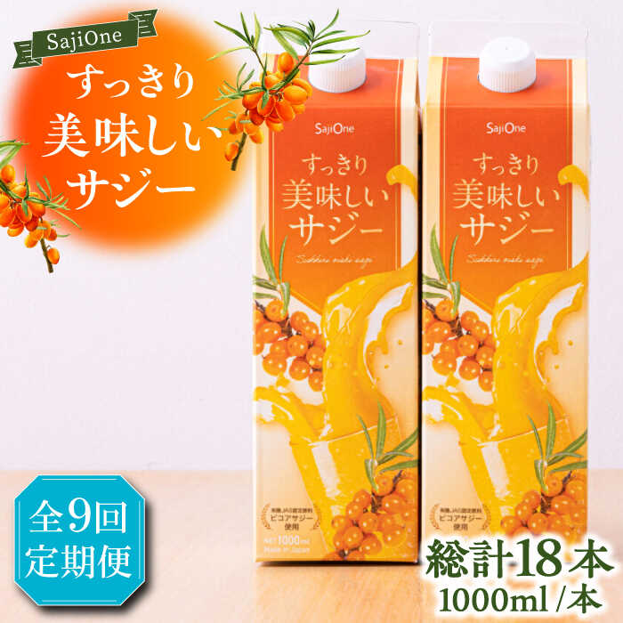 【ふるさと納税】【全9回定期便】美味しいサジーが毎月届く！すっきり美味しいサジー（2本）《豊前市》【ハウスボトラーズ】 [VAX042][VAX042]