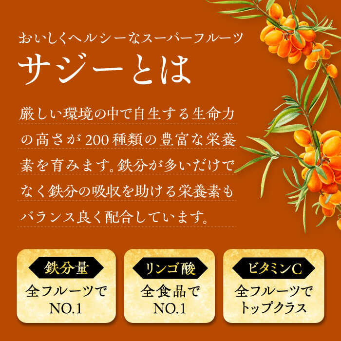 【ふるさと納税】【全12回定期便】美味しいサジーが毎月届く！すっきり美味しいサジー（2本）《豊前市》【ハウスボトラーズ】 [VAX045][VAX045]