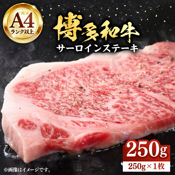 博多和牛サーロインステーキ 250g(250g×1枚)[株式会社Meat Plus][豊前市]肉 焼肉 ステーキ お土産 冷凍 