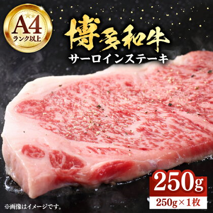 博多和牛サーロインステーキ 250g（250g×1枚）【株式会社Meat Plus】《豊前市》肉 焼肉 ステーキ お土産 冷凍 [VBB009]