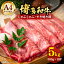 ڤդ뤵ǼǡۡA4ʾ¿µ 饤 5kg 500g10P ֤ Ƥ    / Х /  ˡ˭ԡաڳMEAT PLUS  [VBB023]