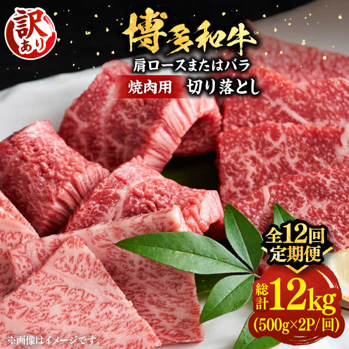 【全12回定期便】【訳あり】博多和牛 焼肉 切り落とし1kg（500g×2p）《豊前市》【MEAT PLUS】肉 お肉 牛肉[VBB081]