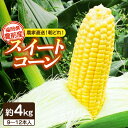 ■プチッと食感と柔らかな甘みで誰もがにっこり笑顔に 高糖度でフルーツのような甘さと、プチッとした食感をぜひ味わってください！ ■1日の中で1番糖度の高い深夜3時頃収穫し、その日のうちに発送します。 そのため、弾ける食感とコクのある甘さを堪能いただけます！ 6月初旬から収穫を開始します。 毎年、約10万本ものスイートコーンを収穫しており、多くの方から高い評価を頂いています。 ■＜オススメの食べ方＞ スイートコーンの甘さが引き立つ、シンプルな料理がオススメです！ ・ボイル ・スイートコーンの炊き込みご飯 ・かき揚げ ■返礼品到着後は傷みやすいのでお早めにお召し上がりください。 ※お礼品の到着後すぐにお召し上がりいただくことが一番ですが、 保存される場合は皮を取りボイルした後、1本ずつラップで包み冷蔵庫で保管し新鮮なうちにご賞味ください。 約4kg（9〜12本入り） 【賞味期限】出荷日より5日前後 ※保存方法：野菜冷蔵庫（生の場合） 【原料原産地】 豊前市福岡 豊前 国産 野菜 とうもろこし コーン スイートコーン 彩り野菜 健康 BBQ バーベキュー コーンバター 和食■プチッと食感と柔らかな甘みで誰もがにっこり笑顔に 高糖度でフルーツのような甘さと、プチッとした食感をぜひ味わってください！ ■採れたてをその日に発送 そのため、弾ける食感とコクのある甘さを堪能いただけます！ 6月初旬から収穫を開始します。 毎年、約10万本ものスイートコーンを収穫しており、多くの方から高い評価を頂いています。 ＜オススメの食べ方＞ スイートコーンの甘さが引き立つ、シンプルな料理がオススメです！ ・ボイル ・スイートコーンの炊き込みご飯 ・かき揚げ ■返礼品到着後は傷みやすいのでお早めにお召し上がりください。 ※お礼品の到着後すぐにお召し上がりいただくことが一番ですが、 保存される場合は皮を取りボイルした後、1本ずつラップで包み冷蔵庫で保管し新鮮なうちにご賞味ください。 お届け内容 その他、湯越農園の返礼品はこちら！ 農家直送 朝どれ スイートコーン 白 黄 食べ比べ セット 約4kg （9〜12本入り）《豊前市【湯越農園】 野菜 コーン 福岡県産米 夢つくし 5 kg × 2 袋 《豊前市》【湯越農園】米 精米 白米 商品説明 名称【先行予約受付　2024年6月頃より順次発送】農家直送 朝どれ スイートコーン 約4kg（9〜12本入り）《豊前市》【湯越農園】 野菜 コーン 内容量約4kg（9〜12本入り） 原料原産地豊前市 賞味期限出荷日より5日前後 ※保存方法：野菜冷蔵庫（生の場合） 配送方法冷蔵 配送期日2024年6月1日〜2024年7月15日 【2024年6月より順次発送】 提供事業者湯越農園