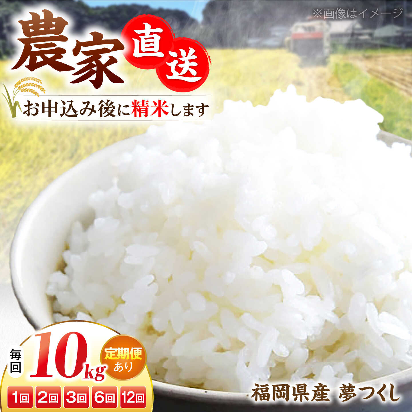 [令和8年産] 新米 福岡県産 夢つくし 10kg ×1袋 [選べるお届け回数][豊前市][湯越農園][VBC003] 先行予約 先行受付 米 お米 精米 白米 ブランド米 国産 ごはん ご飯 単一原料米 こめ 人気 おすすめ ゆめつくし 10キロ もっちり 炊きたて
