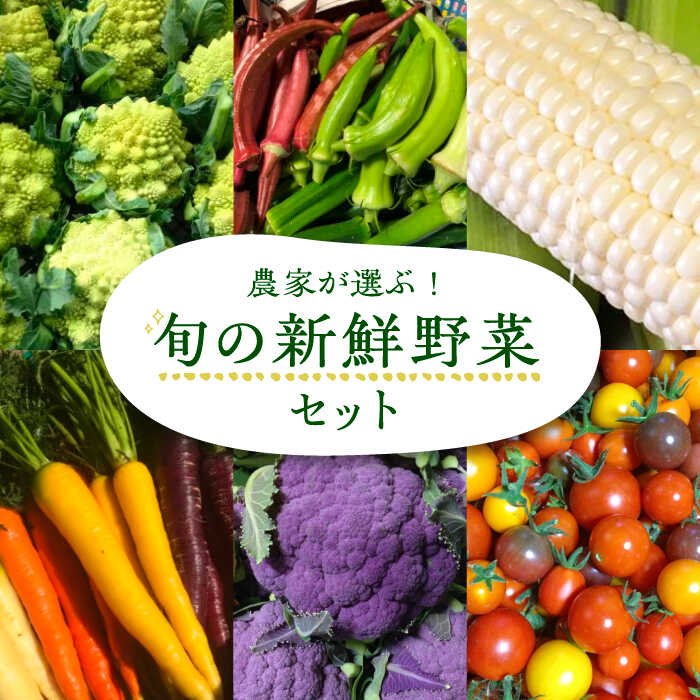 7位! 口コミ数「0件」評価「0」農家が選ぶ！ 旬の新鮮野菜セット《豊前市》【田村農産】産直 野菜 やさい 詰め合わせ[VBE002]