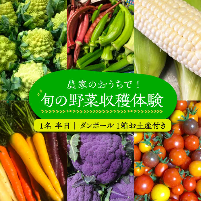 39位! 口コミ数「0件」評価「0」農家のおうちで旬の野菜！！収穫体験　1名 半日 ダンボール1箱お土産付き《豊前市》【田村農産】[VBE006]