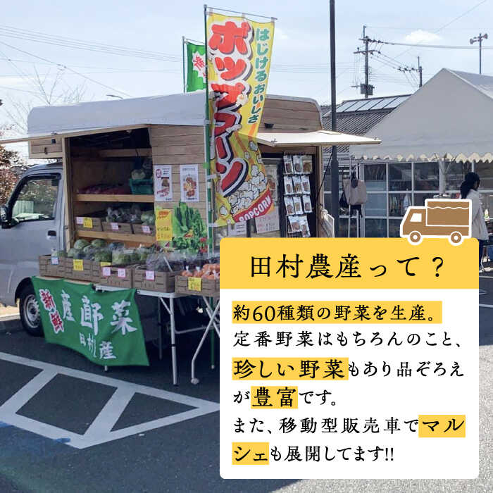 【ふるさと納税】農家のおうちで宿泊体験！！旬の野菜にふれあおう1泊2日 食事付《豊前市》【田村農産】体験　宿泊　観光[VBE007] 2