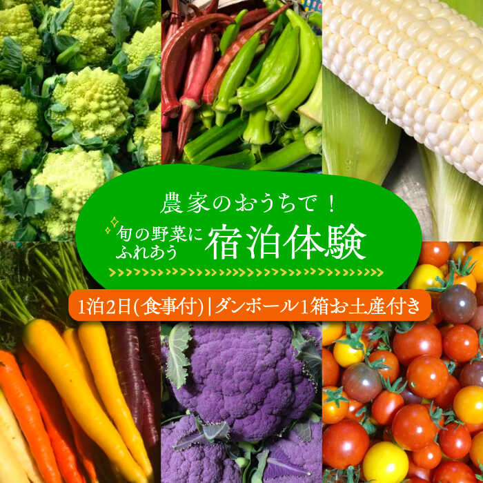 【ふるさと納税】農家のおうちで宿泊体験！！旬の野菜にふれあおう1泊2日 食事付《豊前市》【田村農産】体験　宿泊　観光[VBE007]