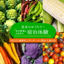 3位! 口コミ数「0件」評価「0」農家のおうちで宿泊体験！！旬の野菜にふれあおう1泊2日 食事付《豊前市》【田村農産】体験　宿泊　観光[VBE007]