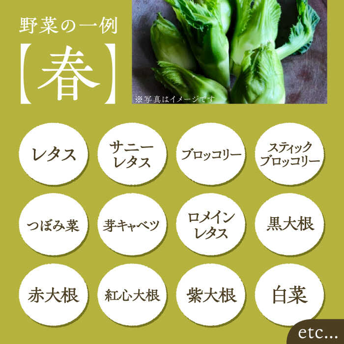 【ふるさと納税】【全3回定期便】農家が選ぶ！ 旬の新鮮野菜 約15種類 セット《豊前市》【田村農産】産直 野菜 やさい 詰め合わせ[VBE008]