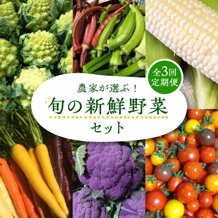 [全3回定期便]農家が選ぶ! 旬の新鮮野菜 約15種類 セット[豊前市][田村農産]産直 野菜 やさい 詰め合わせ