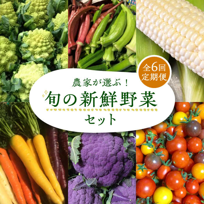 【全6回定期便】農家が選ぶ！ 旬の新鮮野菜セット《豊前市》【田村農産】産直 野菜 やさい 詰め合わせ[VBE009]