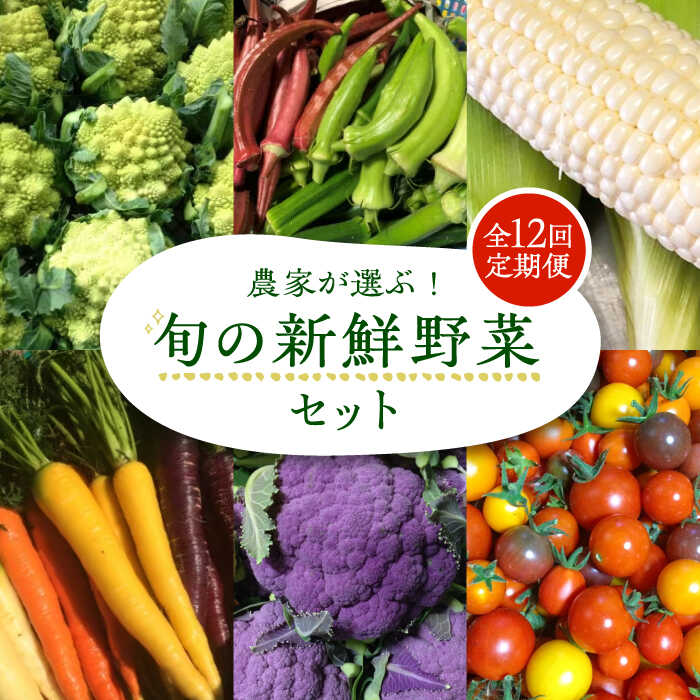 【全12回定期便】農家が選ぶ！ 旬の新鮮野菜セット《豊前市》【田村農産】産直 野菜 やさい 詰め合わせ[VBE010]