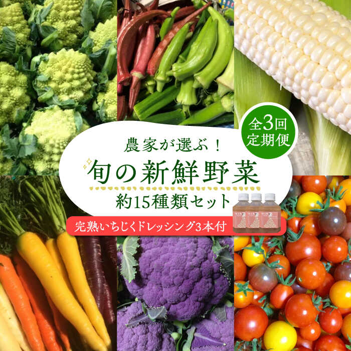 【ふるさと納税】【全3回定期便】農家が選ぶ!旬の新鮮野菜セット約15種類と農家が作るドレッシング(200g×3本セット)《豊前市》【田村農産】産直 野菜 やさい 詰め合わせ ドレッシング[VBE011]