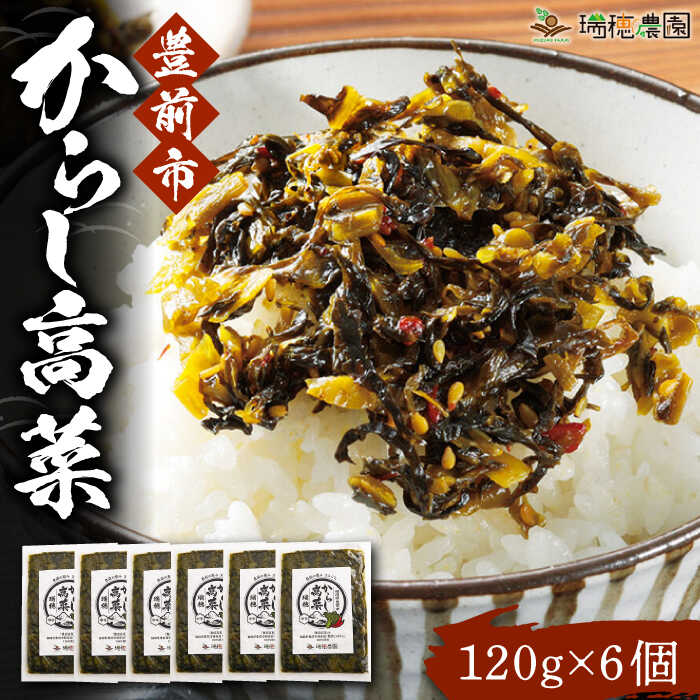 からし高菜120g×6個セット[豊前市][株式会社瑞穂]