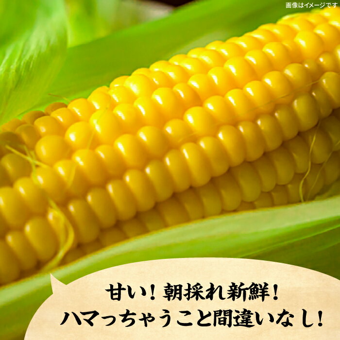 福岡県豊前市の画像2