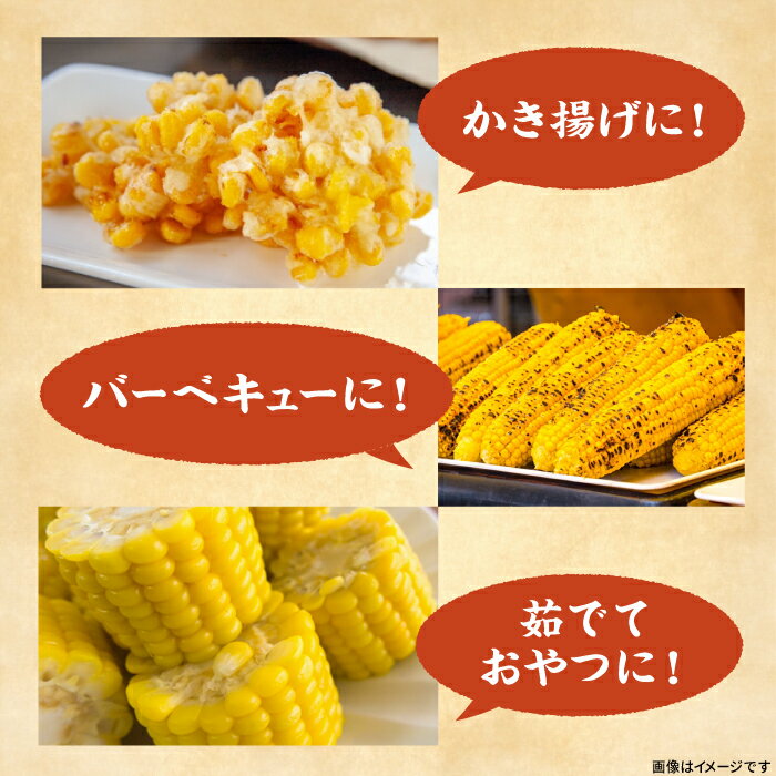 福岡県豊前市の画像3