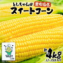 22位! 口コミ数「0件」評価「0」【2024年6月以降出荷分予約】下山農園 としちゃんの 農家直送 スイートコーン 約4kg（11～13本入り）《豊前市》【下山農園】とうもろ･･･ 