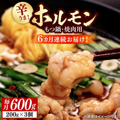 【全6回定期便】【やみつき辛うま！】もつ鍋・焼肉用 国産ホルモン 200g ×3《豊前市》【ますだ産業】[VBV004]