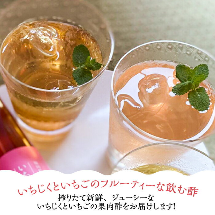 【ふるさと納税】＜いちじく美人・いちご美人＞ 飲む酢 2本 セット《豊前市》【株式会社ワカヤマ】地産 福岡 万能 調味料 酢 [VBW003]