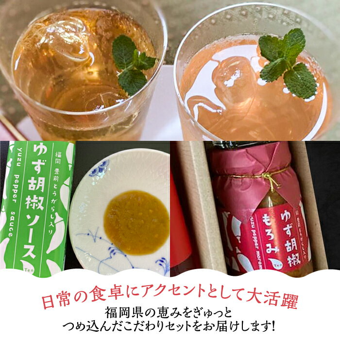 【ふるさと納税】＜いちじく美人・いちご美人＞ 飲む酢 2本 & ゆず胡椒 ソース / もろみ セット 《豊前市》【株式会社ワカヤマ】地産 福岡 万能 調味料 酢 [VBW005]