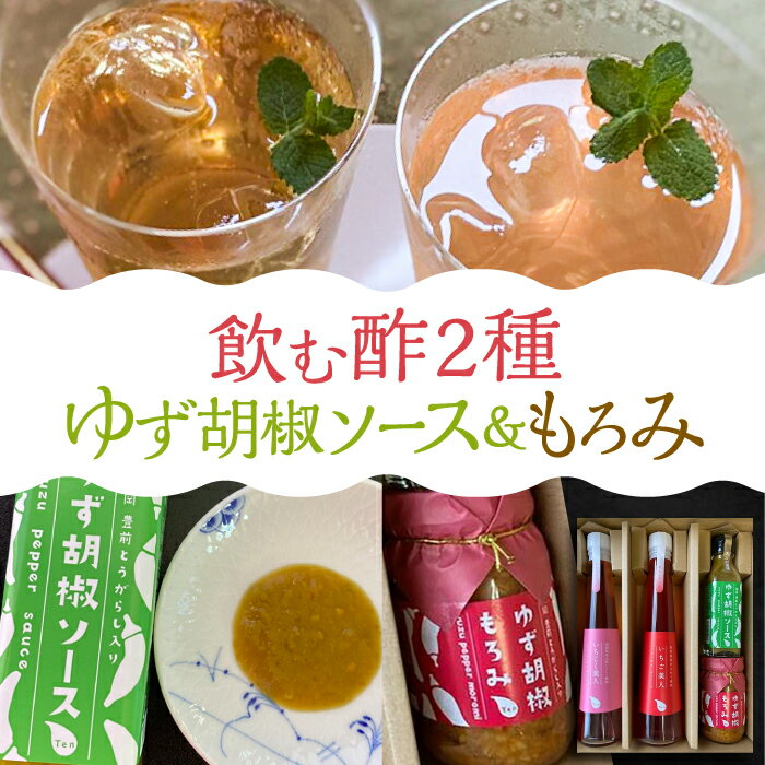 【ふるさと納税】＜いちじく美人・いちご美人＞ 飲む酢 2本 