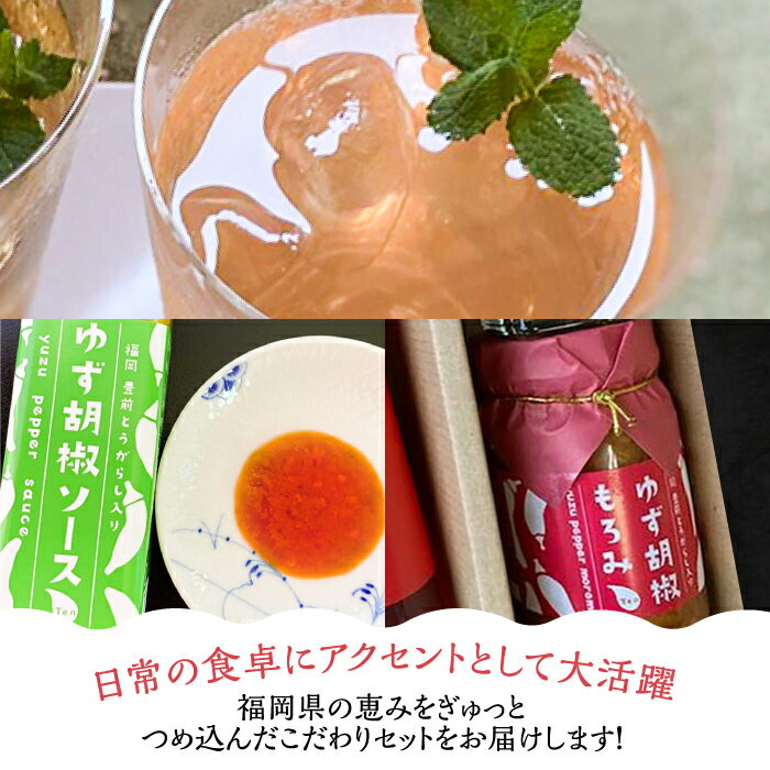 【ふるさと納税】＜いちご美人＞ 飲む酢 & ゆず胡椒 ソース / もろみ セット 《豊前市》【株式会社ワカヤマ】地産 福岡 万能 調味料 酢 [VBW006]